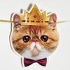 Cute Animal Happy Birthday Banner Paper Cat Garland Creative Pet Theme Banner  Kids Theme Party