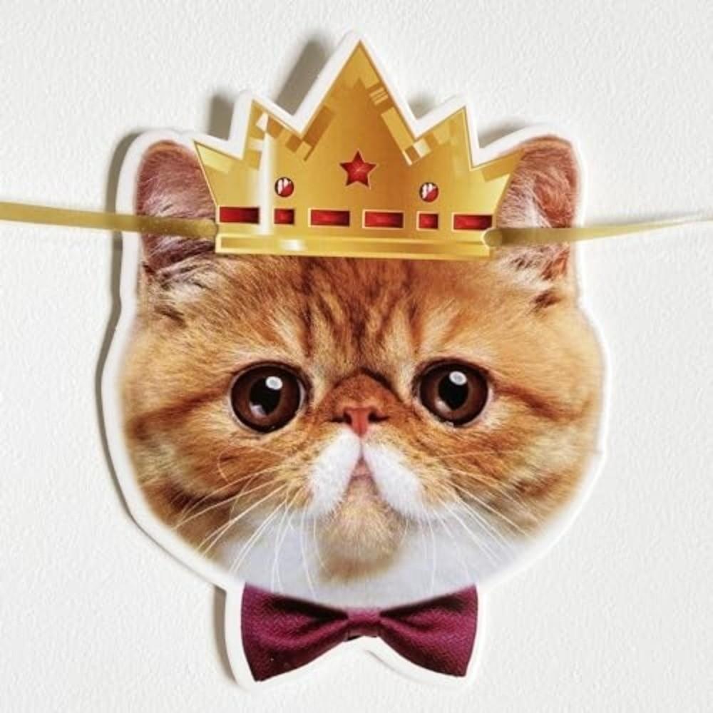 Cute Animal Happy Birthday Banner Paper Cat Garland Creative Pet Theme Banner Kids Theme Party
