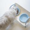 Ceramic Cat Food Water Bowl Double Bowls Pet Food Dispenser Cat Feeding Station  Wet Dry Food
