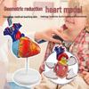 4D Heart Structure Anatomy Model: Educational Cognitive Teaching Aid for Kids, Removable Organ Model