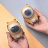 Capybara Relax Squeeze Toy TPR Novelty Cartoon Animal Anti Stress Relief Funny Creative Fidget Decompression Pinch Toy for Kid