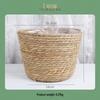 Rattan Woven Flower Basket for Home and Balcony Decor with Green Plants
