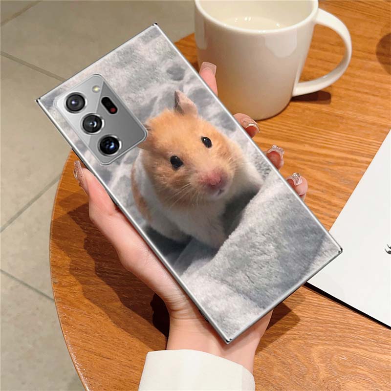 Süße Niedliche Haustier Hamster Handyhülle Für Samsung A55 A35 A25 A15 A54 A34 A24 A14 A70 A71 A50 A51 A17 A05S Galaxy A40 A41A30 A31 A2