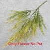 Artificial Arundinacea Phalaris Floral Decor For Living Room And Prop Photo
