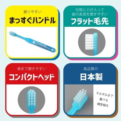 Shinkansen Toothbrush Set, Made in Japan, for Children, with Storage Case, for Daycare, Kindergarten, School, Travel, and Outdoors (Blue, N700S Nozomi