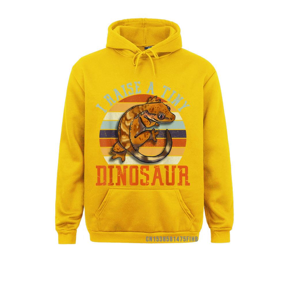 

Забавный хохлатый геккон, ресница, ящерица, рептилия, герпетолог, толстовки с капюшоном, толстовки на зиму и осень, простой стиль, женские капюшоны XL