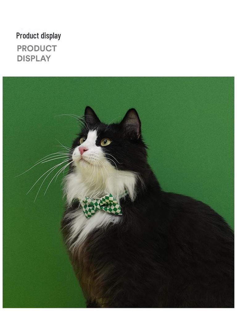 Pohledný kostkovaný límec s motýlkem Zeze Pet – Roztomilá kočičí internetová série celebrit.