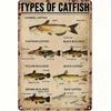 Metal Poster Vintage Catfish Species Fisherman Garage Wall Decor
