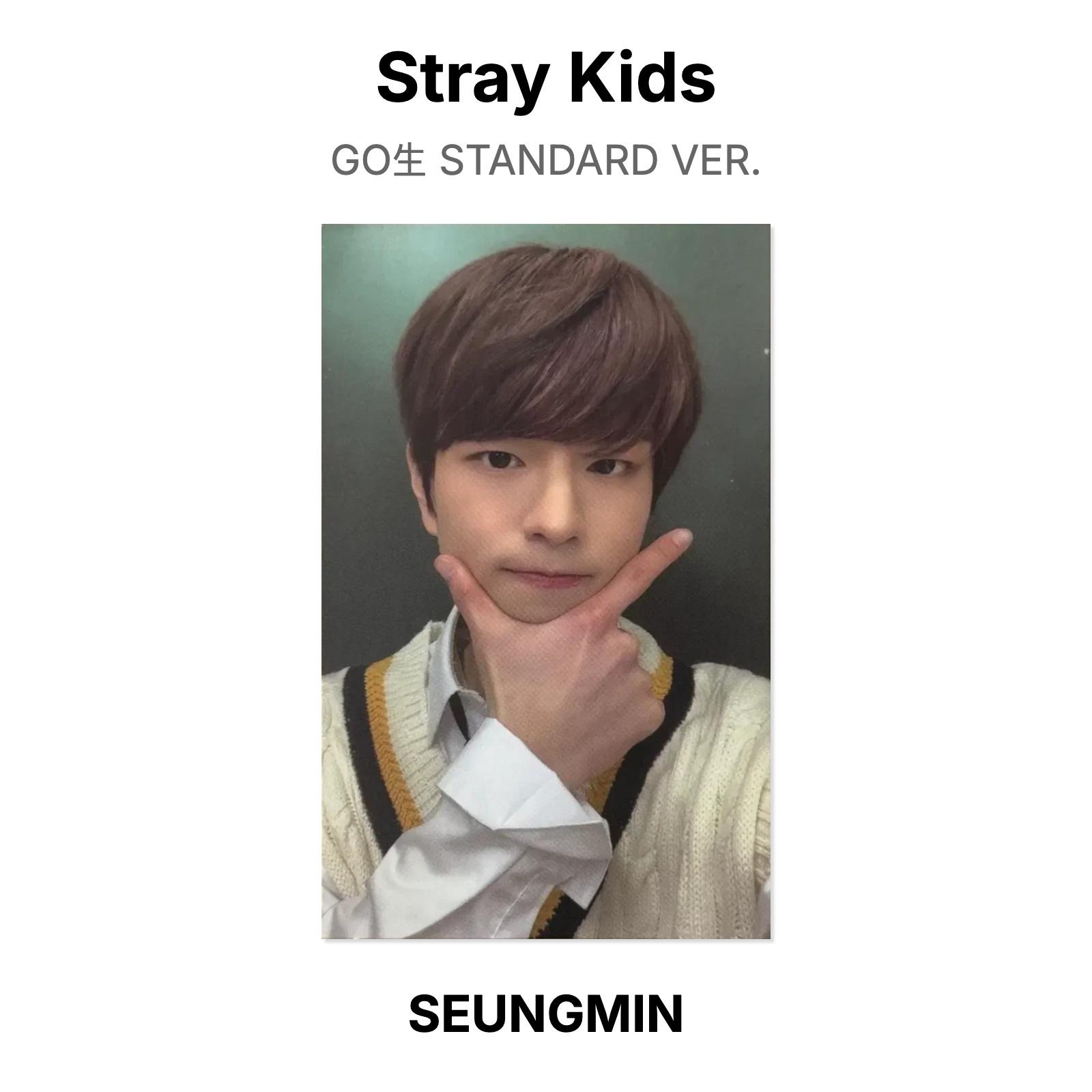 Stray Kids GO СТАНДАРТНАЯ ВЕРСИЯ. Официальная фотокарта SEUNGMIN