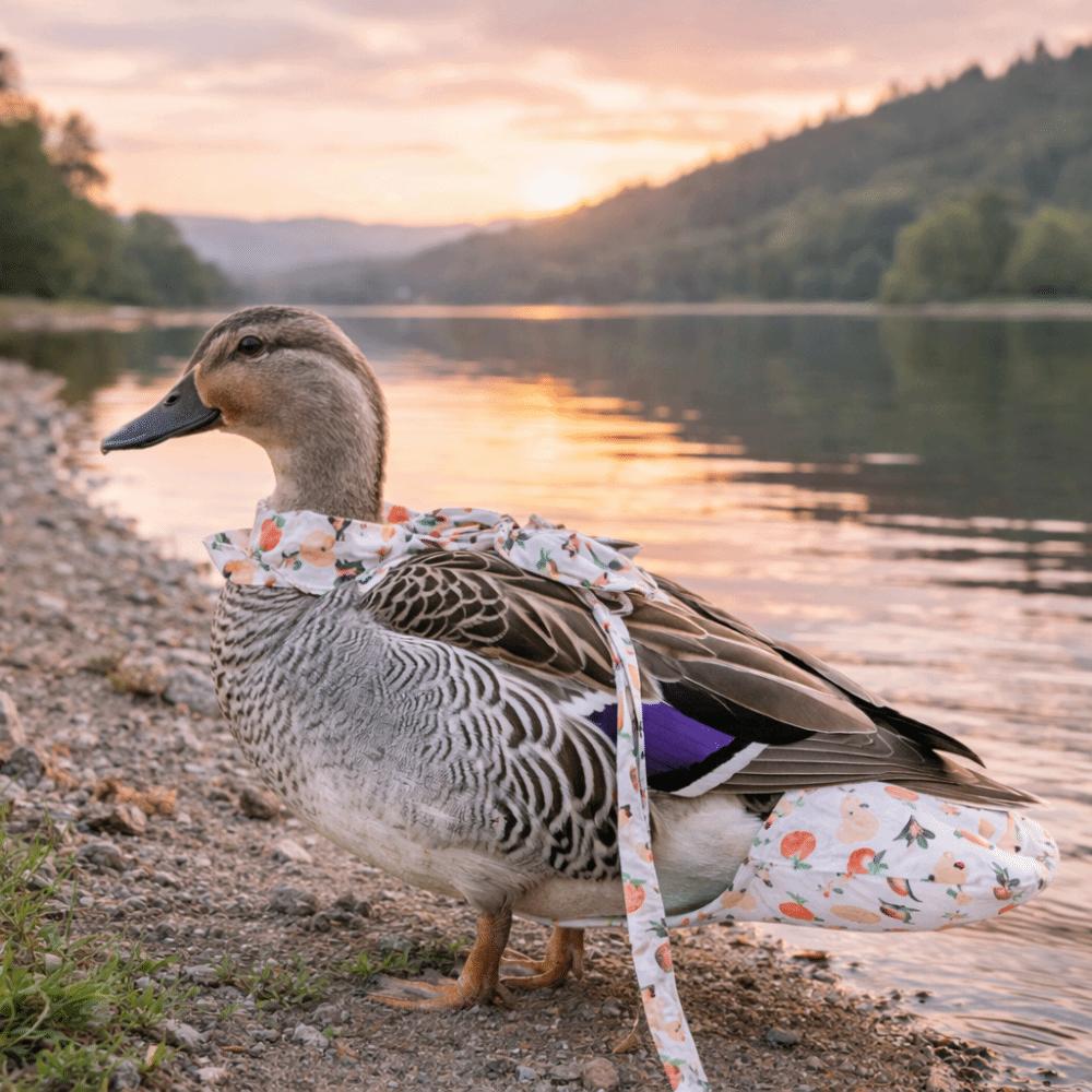 Washable Chicken Diapers Cartoon Comfortable Leads Pet Duck Vest Diaper Adjustable Reduce Odor Duckling Diaper Bags Pet Outings