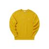 Champion Sweatshirt Japan Version Unisex (Unisex) Sweatshirts C3 Q001 MZ