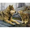 Full Round Diamond Diamond Painting Gentle Wolf Embroidery Cross Stitch Rhinestone Mosaic Home Decor