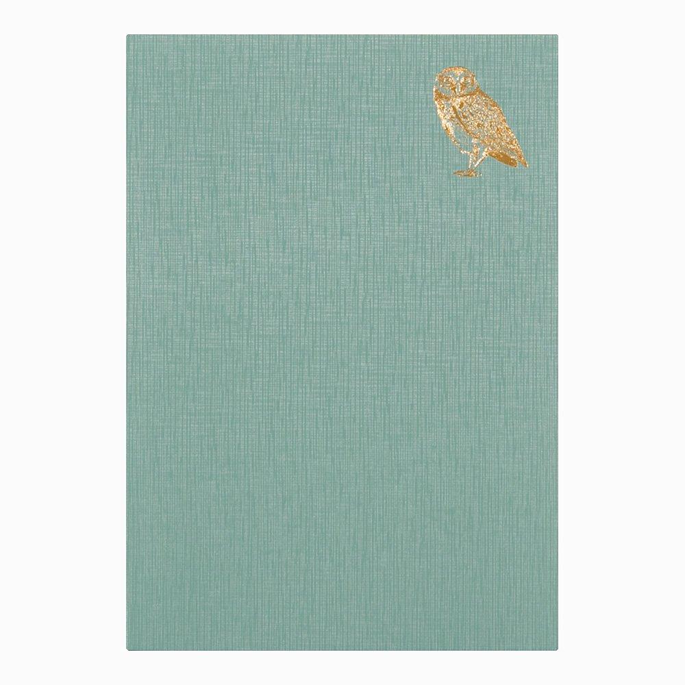 DESIGNPHIL MIDORI Diary Good Night A Owl 12870006
