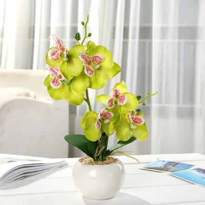 Keine Bewässerung Simulation Phalaenopsis farbige schöne Garten Balkon gefälschte Faux Seide Blume Dekoration