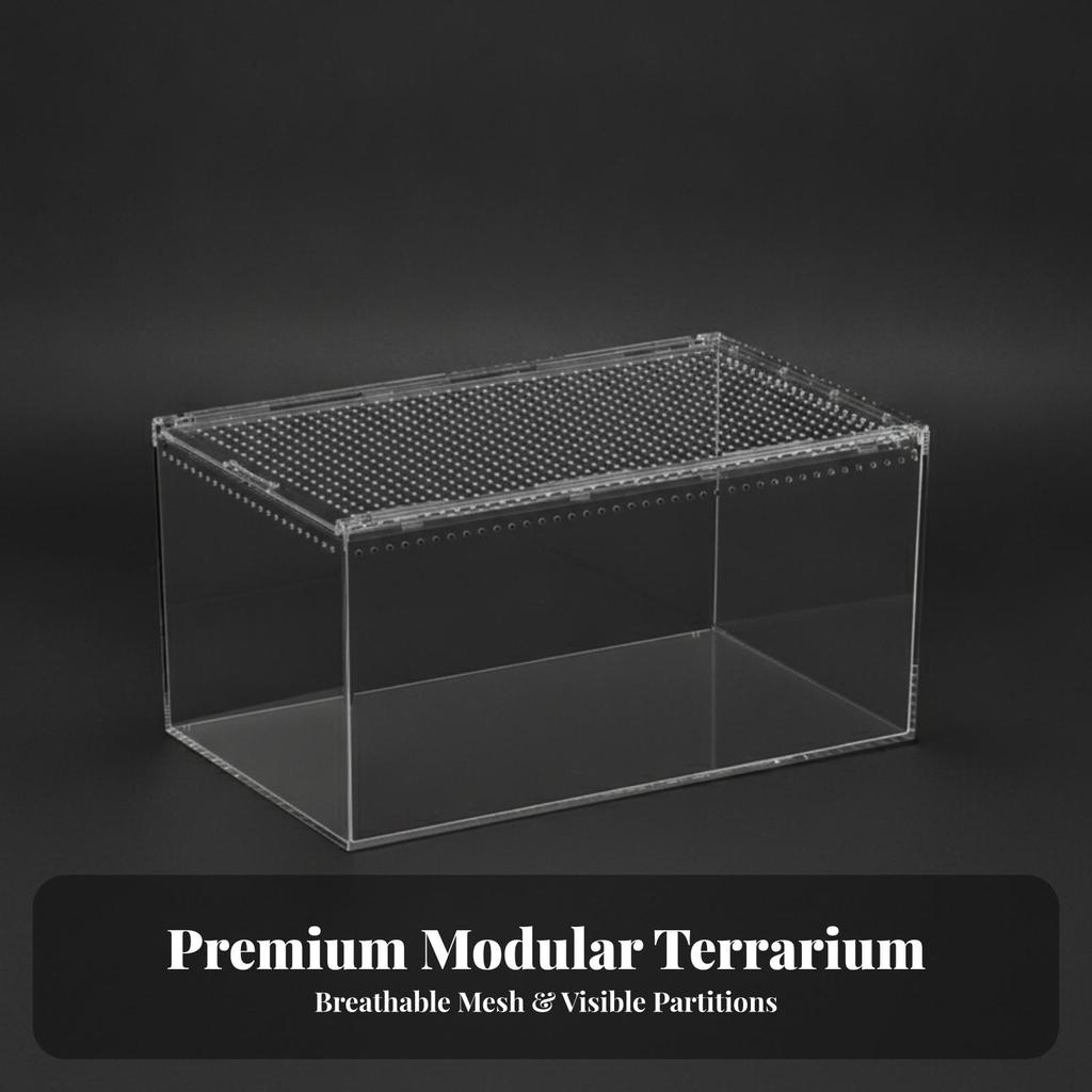 Transparent Reptile Terrarium | Ventilated Top Panel, Enclosure, for