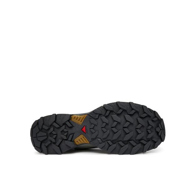 Треккинговые ботинки Salomon X Ultra 360