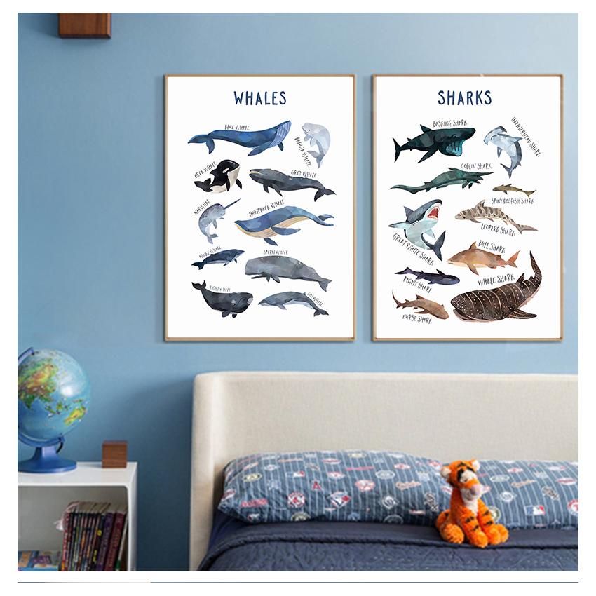 Animal Nursery Canvas Art Print Education Wall Picture Painting Nordic Baby Kids Room Decoration Child Poster Whale Shark Marine