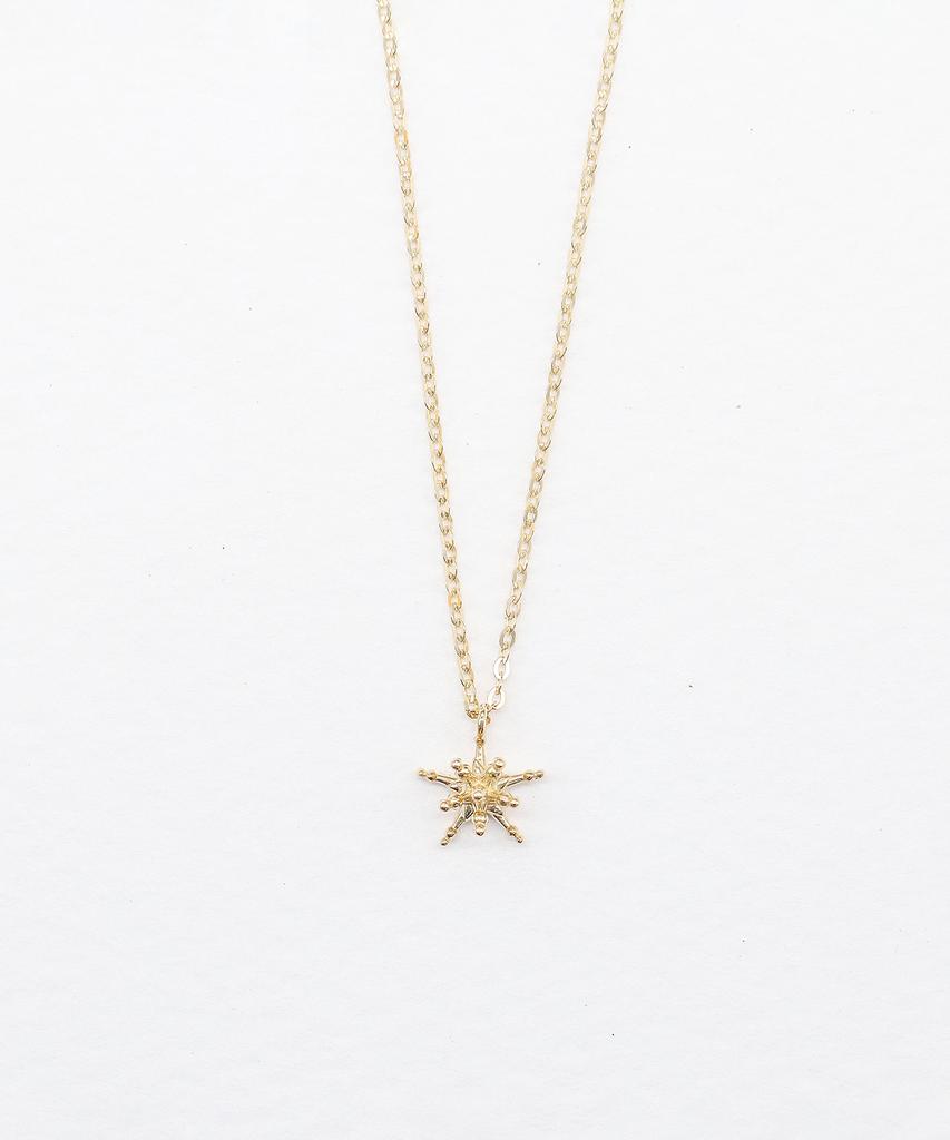 Ordor [14K] Starlight Pendant Necklace