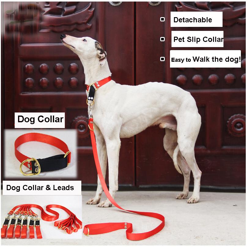 

Классические поводки для собак Ошейники для собак с тяговым тросом Поводки для собак Gree Greyhound Whippet Тонкие ошейники для собак Afghan Pet L