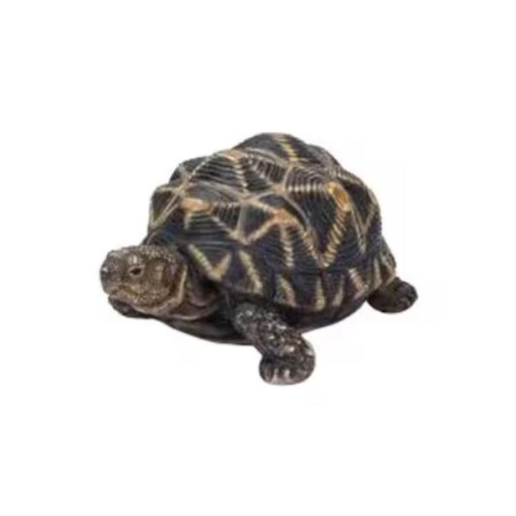 Ubia Star Tortoise 11 x 8 x 5.5 cm Doll Figurine Ornament Animal Garden Decor Turtle H20194-A