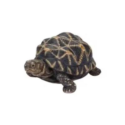 Ubia Sternschildkröte 11 x 8 x 5,5 cm Puppenfigur Ornament Tier Gartendekoration Schildkröte H20194-A