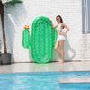 Inflatable Cactus Float - Large Transparent Green Water Prop for Adults