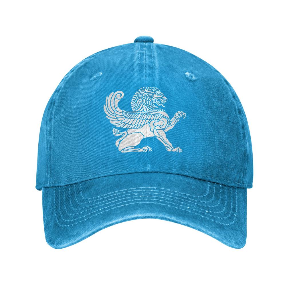 Persian Lion Iranian Baseball Cap Sun Outdoor Gym Sun-Proof Washed Trucker Hat Women Unisex Casual Design Snapback Cap