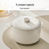 Joyoung GD103 1L Ceramic Double Boiler Stew Pot CN plug (adapter included)