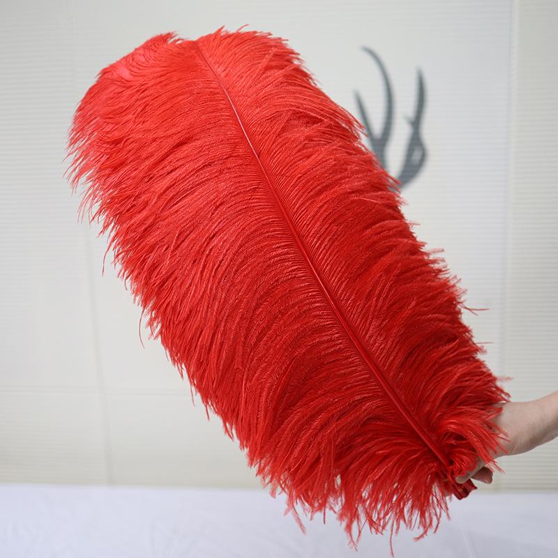 15-75cm Red Ostrich Feathers for Wedding Aisle Centerpieces, Table Decorations, Wall Art, Stage Props