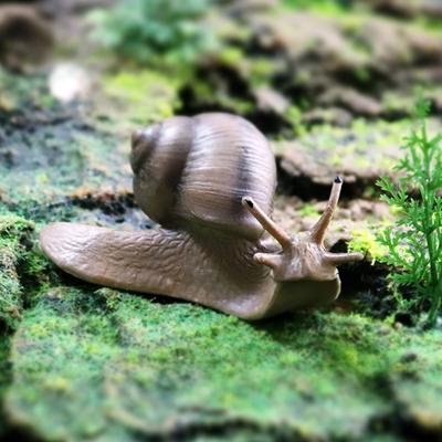 New Snail Figurine Toy Mini Animal Figures for Fairy Garden Micro Landscape Decor Snail Sculpture Gothic Decor Snail Statue