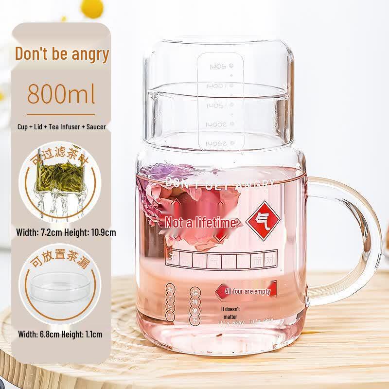 800ml High Borosilicate Glass Tea Infuser Bottle with Lid