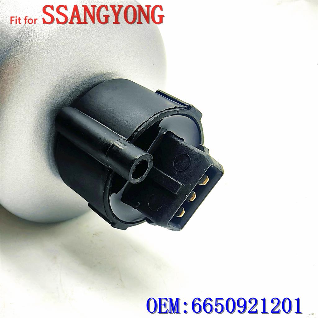 Diesel filter fit for Ssangyong KYRON REXTON RODIUS/STAVIC ACTYON SPORTS Diesel filter 6650921201