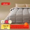 Jingdong Jingzao Zone-Locked Winter Down Comforter