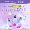 Hiritu Balance Repair Moisturizing Hair Treatment 410mL - Apricot & Jasmine Scent - Revitalize Dry, Frizzy Hair