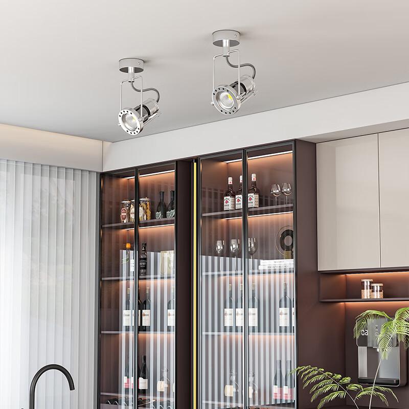 Xuanyong Full Spectrum Surface-Mounted LED Spotlight