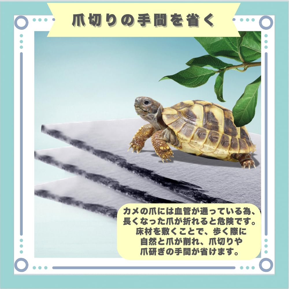 Ideastore Turtle Drying Land Lava Turtle Heat Moisture Lava X Board, Bedding, Plate, Reptile, Tortoise, Bedding, Retention, Retention, (Square (30cm