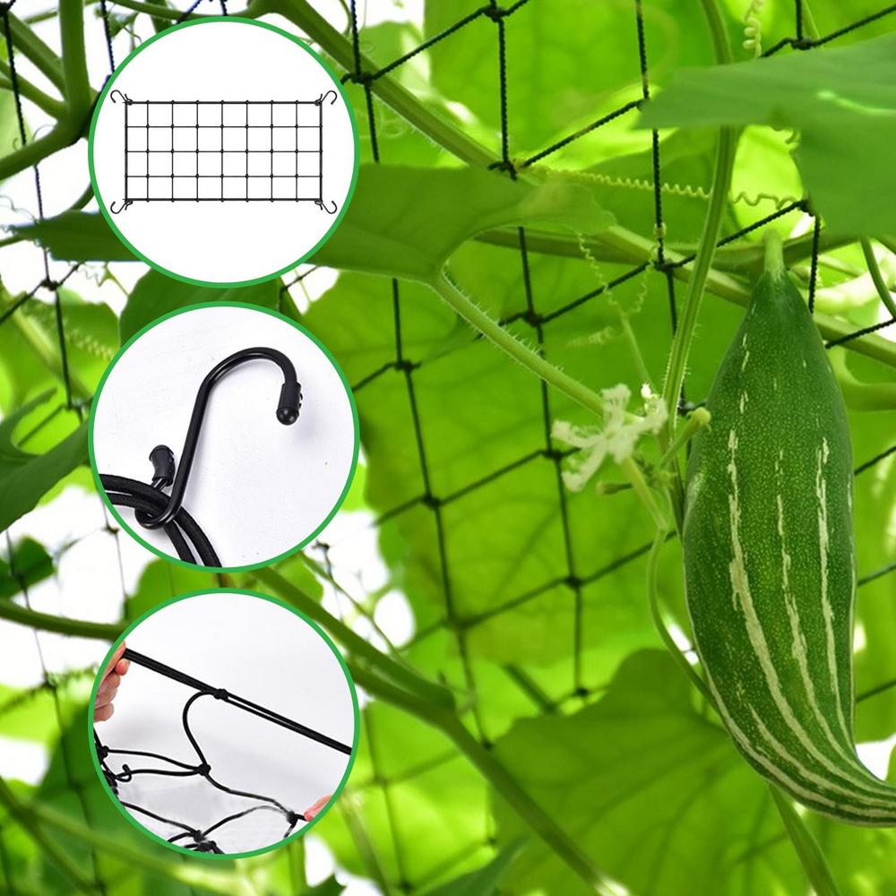 Växtstöd Nät Spaljénät Stöd Elastiskt för Växter Trädgårdsredskap Balkongträdgård Bakgård Klätterväxter Nät