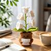 of the Night Light – Potted Plant Decoration with Encouragement Card
