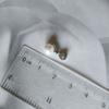 Silver Pendant with Pearls, Cubic Zirconias (2191544)