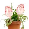 2/4/1pcs Tulip Watering Water Bulb Automatic Drip Irrigation Device Indoor and Outdoor Potted Hanging Basket Plant Long-term Slow Drip Irrigation