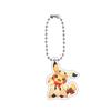 Anime Acrylic Key Ring for Brionne Alolan Meowth Pumpkaboo Chimchar Espurr Piplup Q Version Self-Made Acrylic Key Chain Pendant