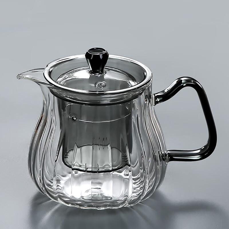 Shijin Heat-Resistant Glass Tea Pot with Infuser