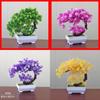 Plastic Bonsai Terrarium With Creative Design For Indoor Garden Display