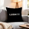 Brand Lush Cushion Cover 1Pcs Decorative Covers Soft Cushion Case For Sofa Couch Decor 40X40 45X45 Pillowcases