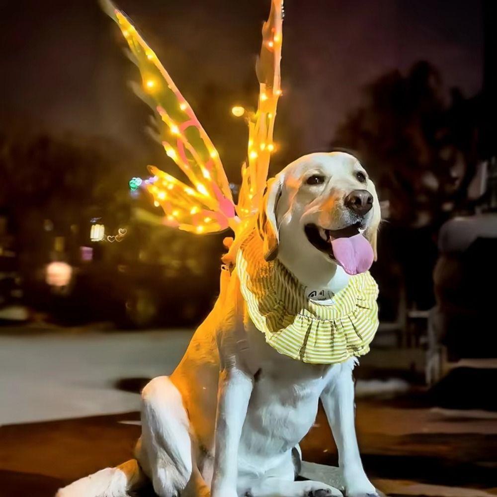 with Music Lights Moving Elf Wing Glowing Shiny Lights Fairy Wings  Halloween