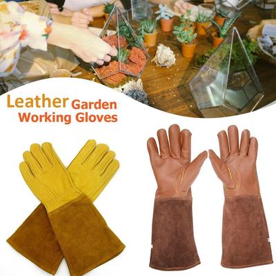 Pro muže Ženy Kůže Odolná proti trnům Rukavice Dlouhý rukáv Zahradní nářadí Práce Ochrana při svařování Bezpečnostní rukavice Rukavice na zastřihování