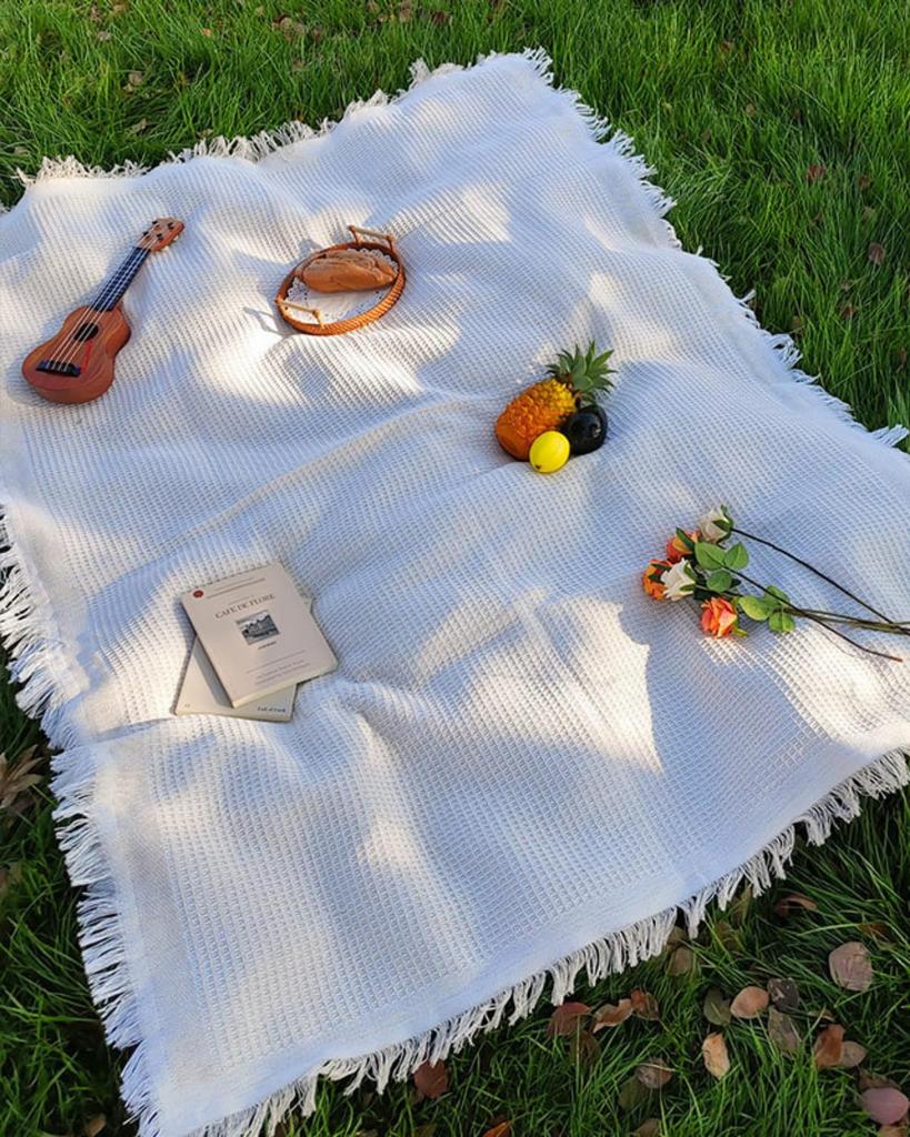 LIFANDY Picnic Picnic For Camping Picnic Compact B 130cm x Sheet, Mat, Fabric, 1-4 People, Foldable, Stylish, Blanket, Mat, (Beige, 180cm)