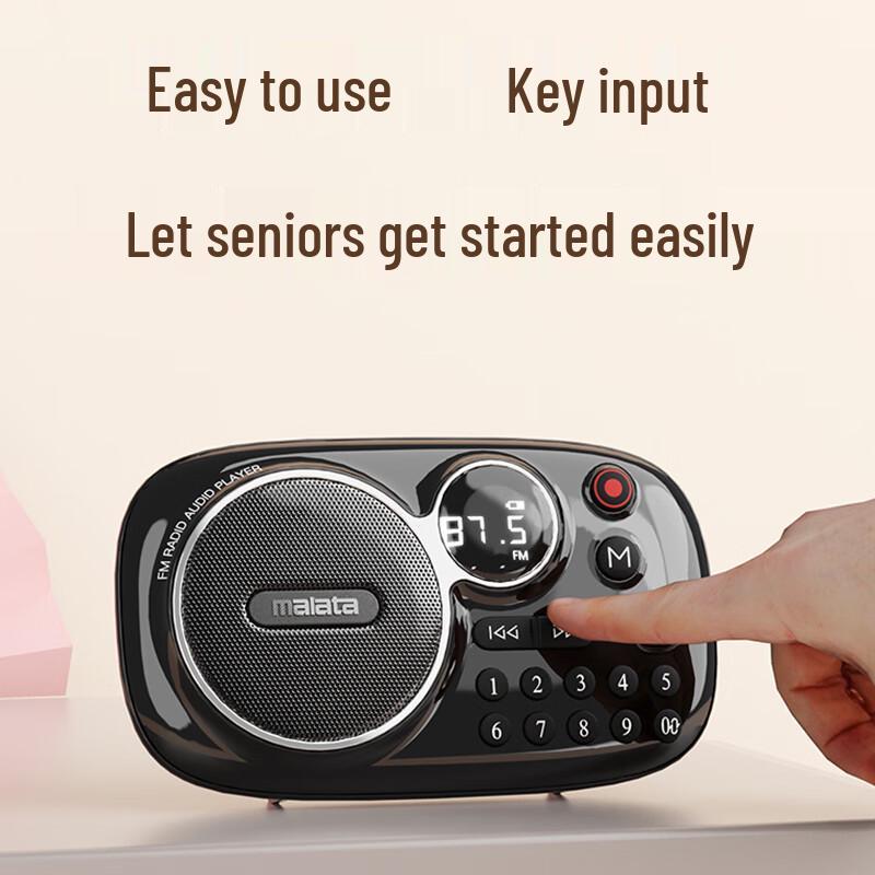 Malata Tragbarer Bluetooth FM Radio Lautsprecher CN-Stecker (Adapter enthalten)