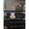 Acrylic Petal Car Air Freshener for Air Vent, Gift for Girls, Long-Lasting Fragrance, Odor Removal, New Model