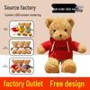 Graduation Teddy Bear Plush Toy with Hoodie T-Shirt & Logo Print